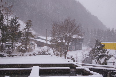 今日の秋神川