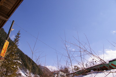 今日の秋神川