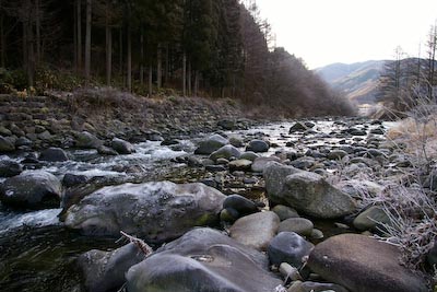 今日の秋神川