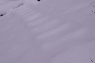 今日の秋神川