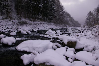 今日の秋神川