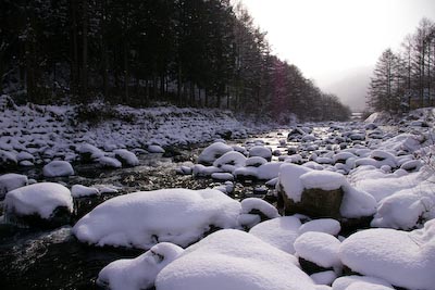 今日の秋神川