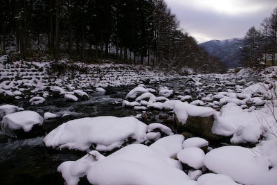 今日の秋神川