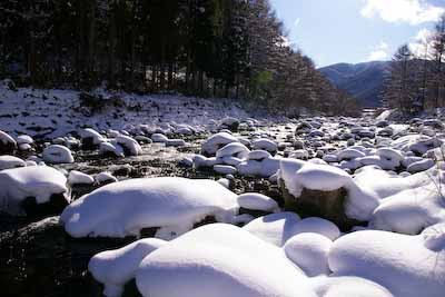 今日の秋神川