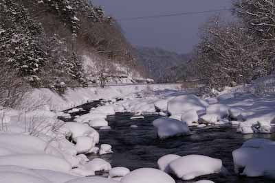 今日の秋神川