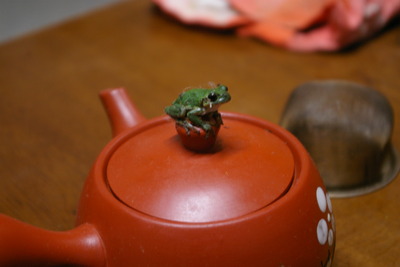 珍客