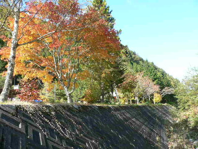 今日の秋神川
