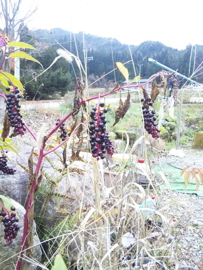 神岡に行って来ました！