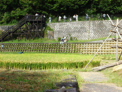 報道陣が殺到！？