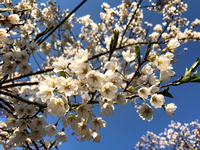 今日が終わる前に‼️ 2018/04/13 23:43:41
