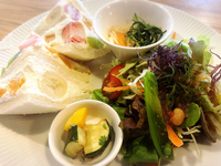 ランチの時間ですよ 2018/06/22 12:26:58