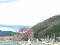桜野公園とてもきれいです‼️ 2018/04/07 10:31:52