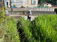 明日は久しぶりのお庭ショップ♪ 2023/09/08 20:30:26