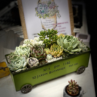 秋の気配＆暗闇の寄せ植え☆ 2024/09/19 21:06:43