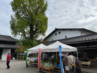始まってま〜す『古川さんてら市』(*´∇｀)ﾉ　 2023/10/14 10:55:21