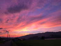 今日の夕焼け、見た(*ﾟ艸ﾟ*)⁈