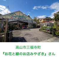 お知らせでーす(｣*ˊᗜˋ)｣！ 2025/03/08 19:47:53