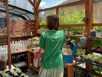 賑やかな1日♪ありがとうございました(*´∇｀)ﾉ　 2024/05/21 22:09:56