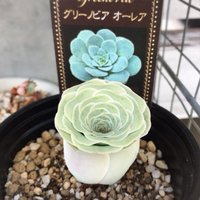 地球外生命体⁈(ﾟﾛﾟﾉ)ﾉ⁈ パート2