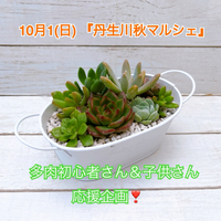 『やってみようセット』丹生川秋マルシェに持って行くよー(*ˊᗜˋ*) 2023/09/27 20:51:46