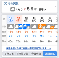 特に寒さに弱い多肉、今夜は気をつけてね(^^;)