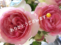 嬉しかったので（^人^）♪