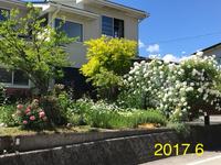 いつ頃から始めた？え？はや9年Σ(ﾟ艸ﾟ〃) 2024/09/28 22:26:51