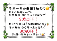 楽しんでもらえるのが1番やさ！＼(*≧∇≦*)／ 2023/11/09 20:38:57
