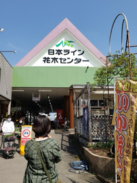 この春も「日本ライン花木センター」に行って来ました(^^)♪ 2024/04/15 22:53:10