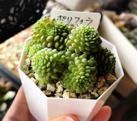 しばしの別れ( *´꒳`*)ﾉ⁾⁾ 2023/07/31 21:24:42