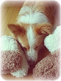 明日帰っちゃうの・・・(*´ω｀*)