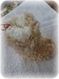 ちっちゃいの♡の完成形だよ♪