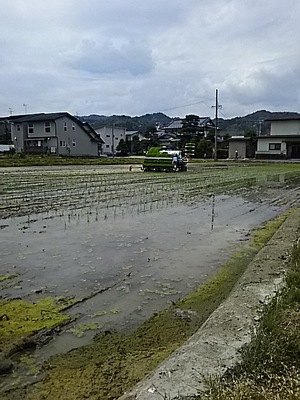 『助春』さんのミンチカツでお助け晩ごはん♡