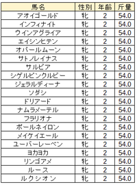 阪神ジュベナイルフィリーズ　スクリーニング 2020/12/10 22:13:56