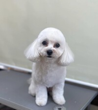 今日の一日