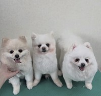 今日の一日