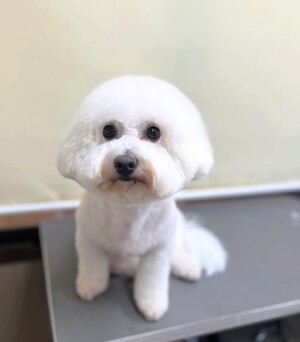 今日の一日