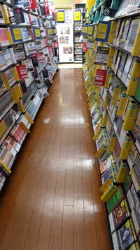 DVD　動画の日々