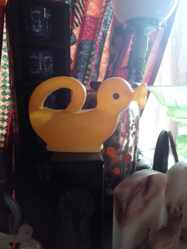 鳥年も後１ヶ月ちょっとホット♨しましょう