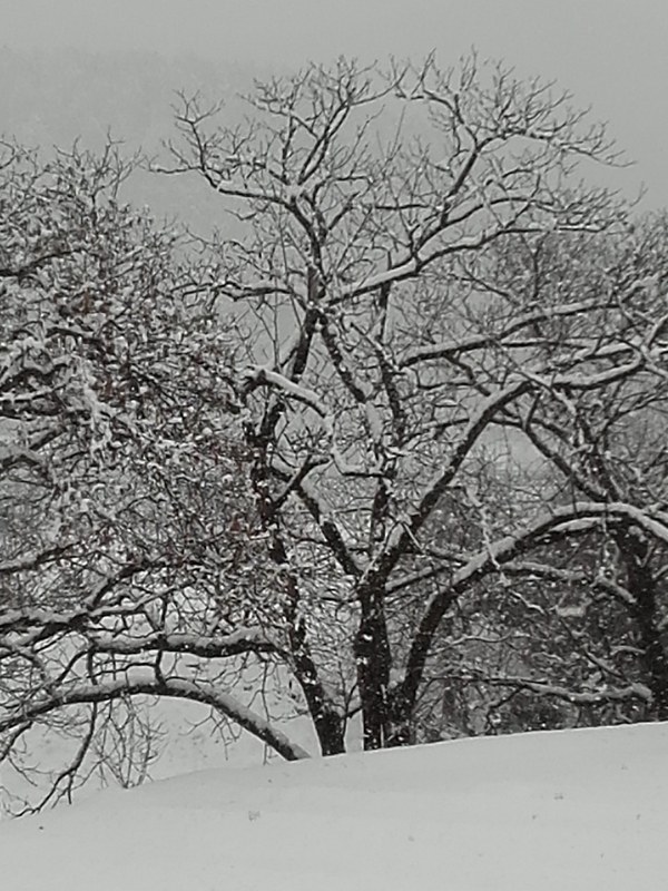 懐かしの雪⛄景色～暑い☀