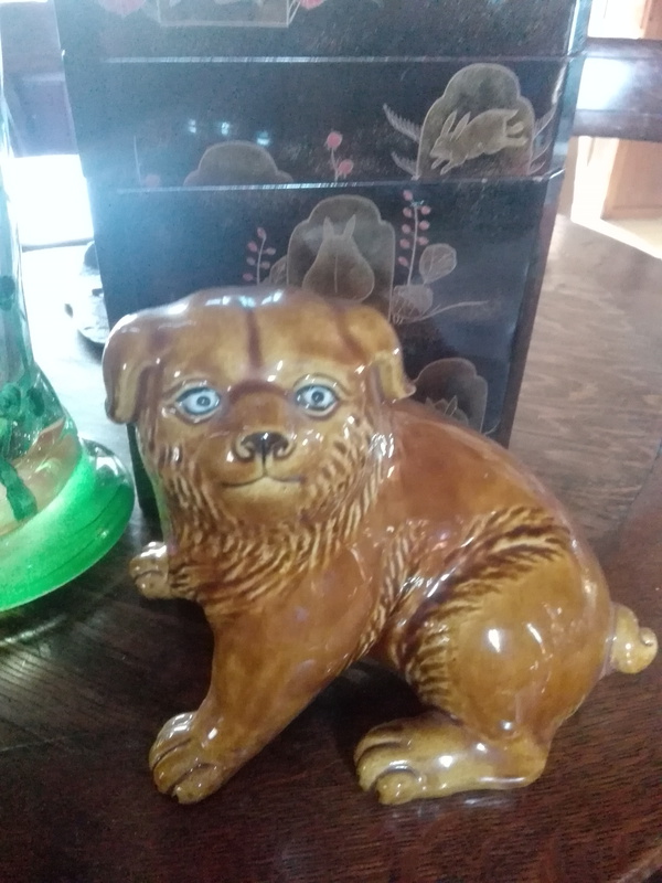 金沢からの犬
