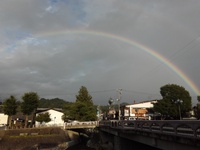 あがりやたより