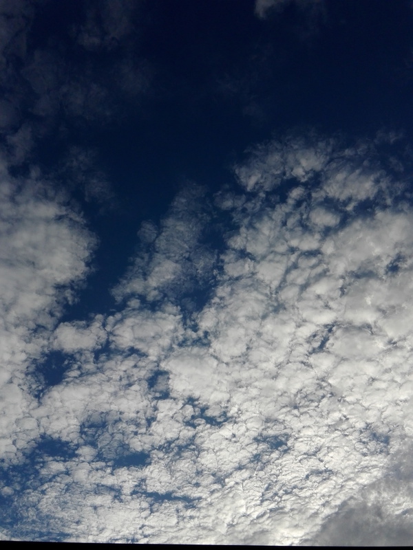 秋の空