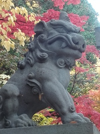あがりやたより