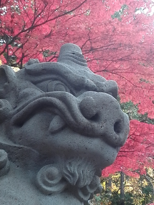 高山の風景