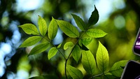 時短でボリュームアップ(増毛) 2020/05/22 14:09:56