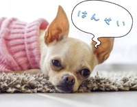 反省 2020/04/04 17:13:12