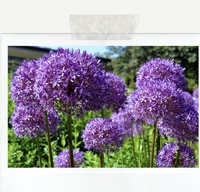 2週間で10キロ痩せる？ 2019/08/15 11:36:47