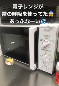 電子レンジがスパーク‼︎ 2021/12/05 20:23:42