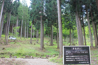 山野草花園
